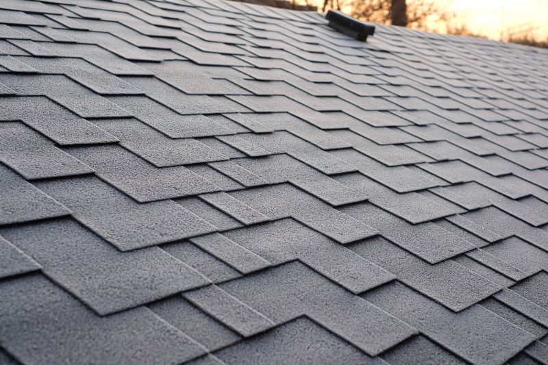 Asphalt Shingles Cleaning detail
